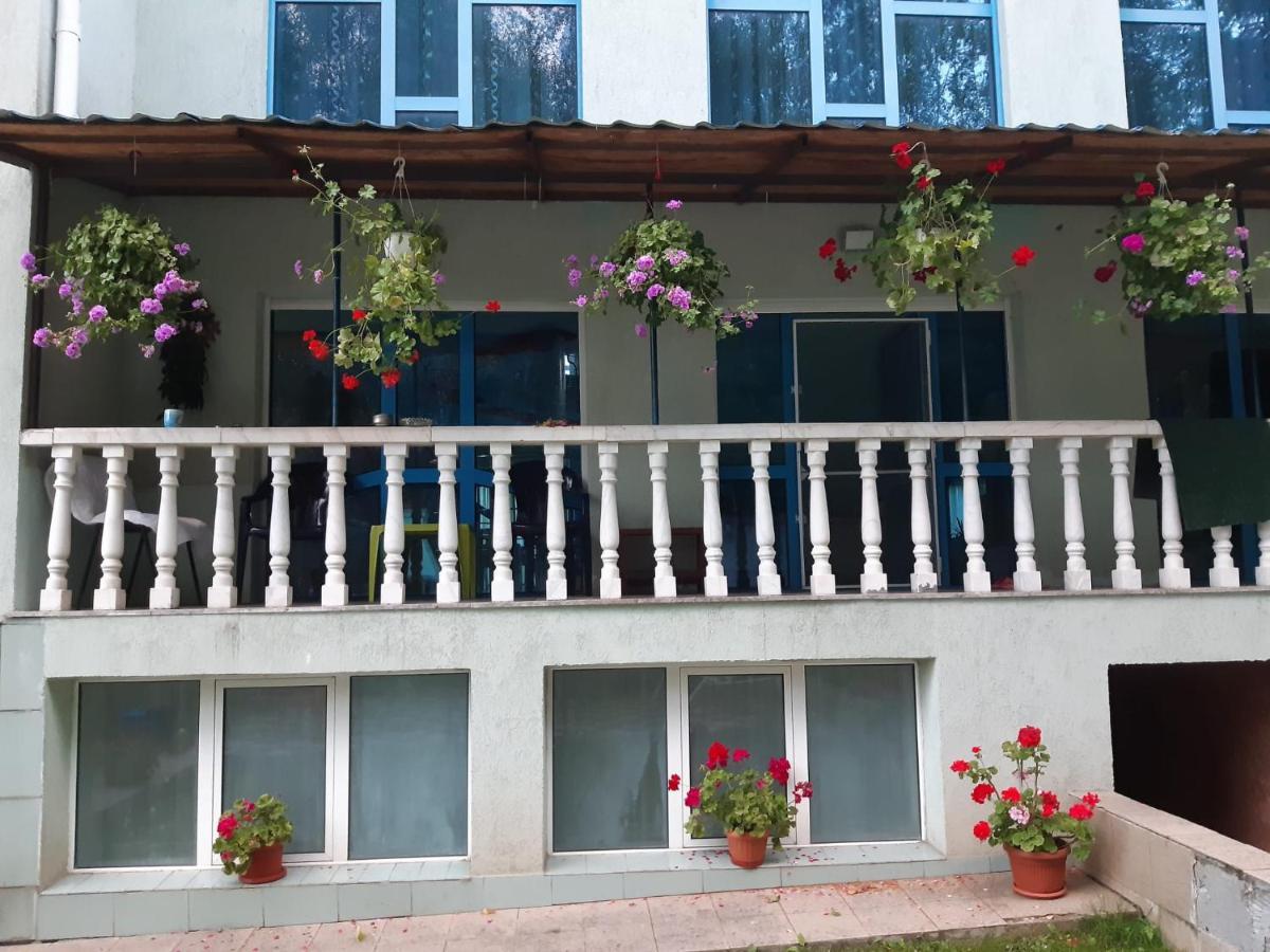 Casa Albastra Hotel Drumu Carului Exterior photo